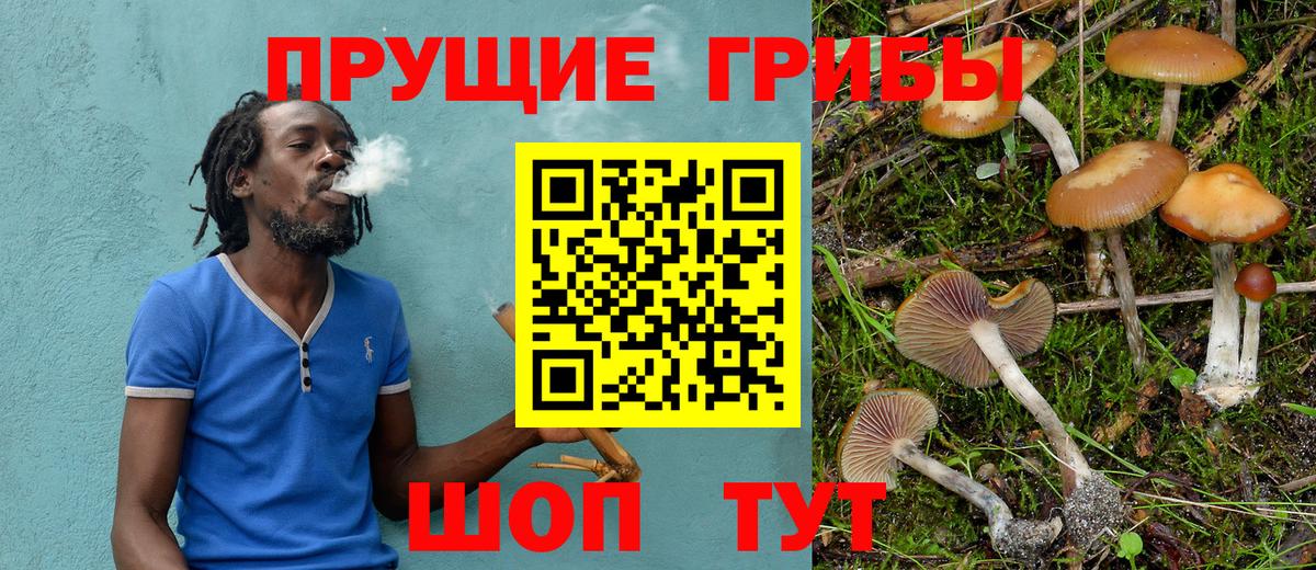 Псилоцибиновые грибы мухоморы Корсаков
