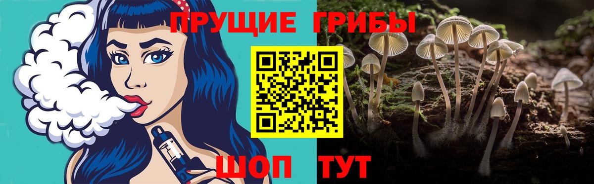 Корсаков  Галлюциногенные грибы Psilocybine cubensis  Вход с VPN 